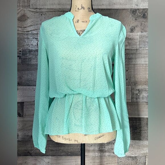Francesca’s Collection Mint Green Polka Dot Sheer Top, Long Sleeves, Size Small - Picture 2 of 8
